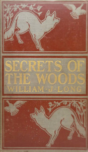 Secrets of the Woods