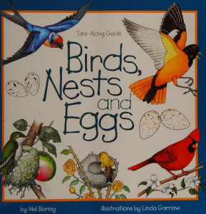 Birds, Nests and Eggs