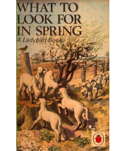 What to Look for in Spring