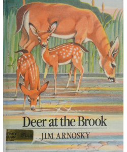 Deer at the Brook