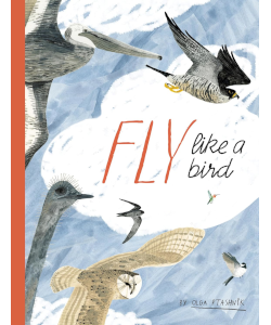 Fly Like a Bird