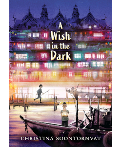 A Wish in the Dark