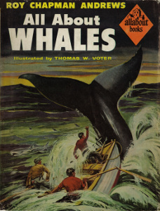 All About Whales