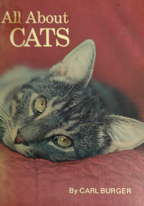 All About Cats