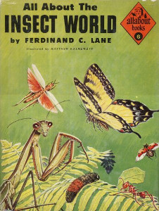 All About the Insect World