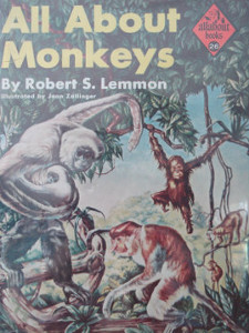 All About Monkeys