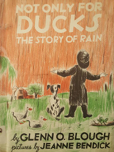 Not Only For Ducks: The Story of Rain