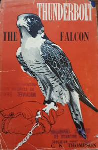 Thunderbolt the Falcon