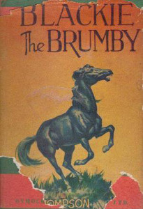 Blackie the Brumby