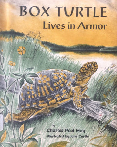 Box Turtle: Lives in Armor