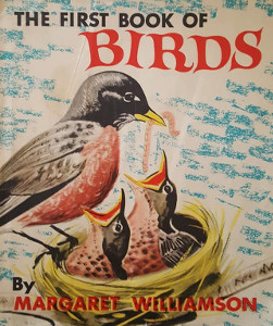 The First Book of Birds