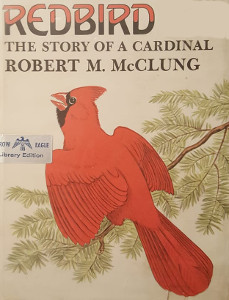 Redbird: The Story of a Cardinal