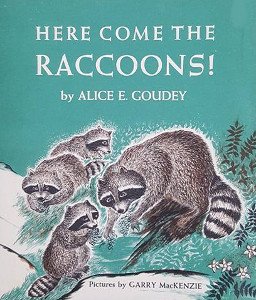 Here Come the Raccoons!