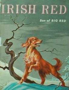 Irish Red: Son of Big Red