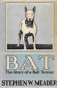 Bat: The Story of a Bull Terrier