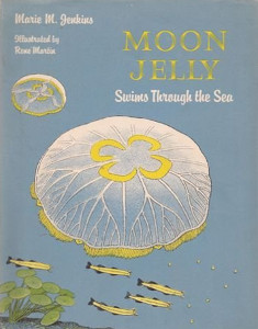 Moon Jelly: Swims Through the Sea