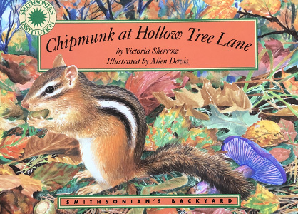 Chipmunk at Hollow Tree Lane