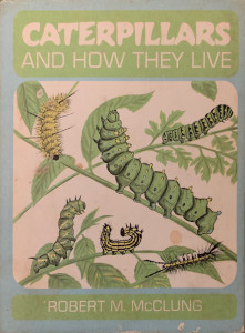 Caterpillars and How They Live