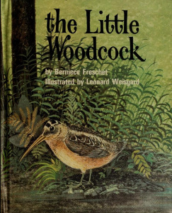 The Little Woodcock