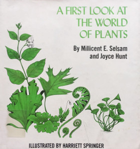 A First Look at the World of Plants