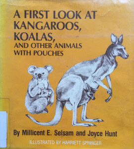 A First Look at Kangaroos, Koalas, and Other Animals with Pouches