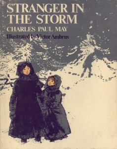 Stranger in the Storm