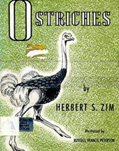 Ostriches