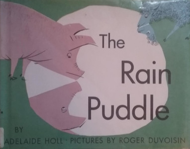 The Rain Puddle
