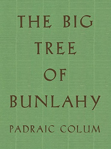 The Big Tree of Bunlahy: Stories of My Own Countryside