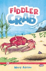 Fiddler Crab