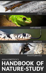 Comstock's Handbook of Nature Study: Fish, Reptiles, Amphibians, Invertebrates