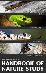 Comstock's Handbook of Nature Study: Fish, Reptiles, Amphibians, Invertebrates Reprint