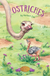 Ostriches Reprint