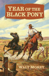 Year of the Black Pony