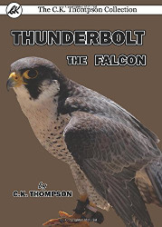 Thunderbolt the Falcon Reprint