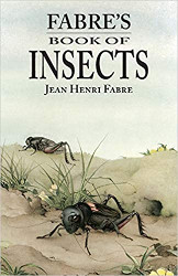 Fabre's Book of Insects Reprint