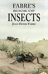 Fabre's Book of Insects