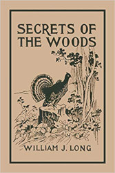 Secrets of the Woods Reprint