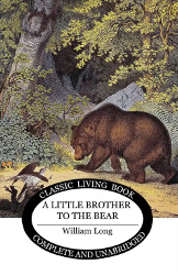 A Little Brother to the Bear