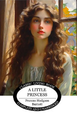 A Little Princess Reprint