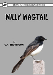 Willy Wagtail Reprint