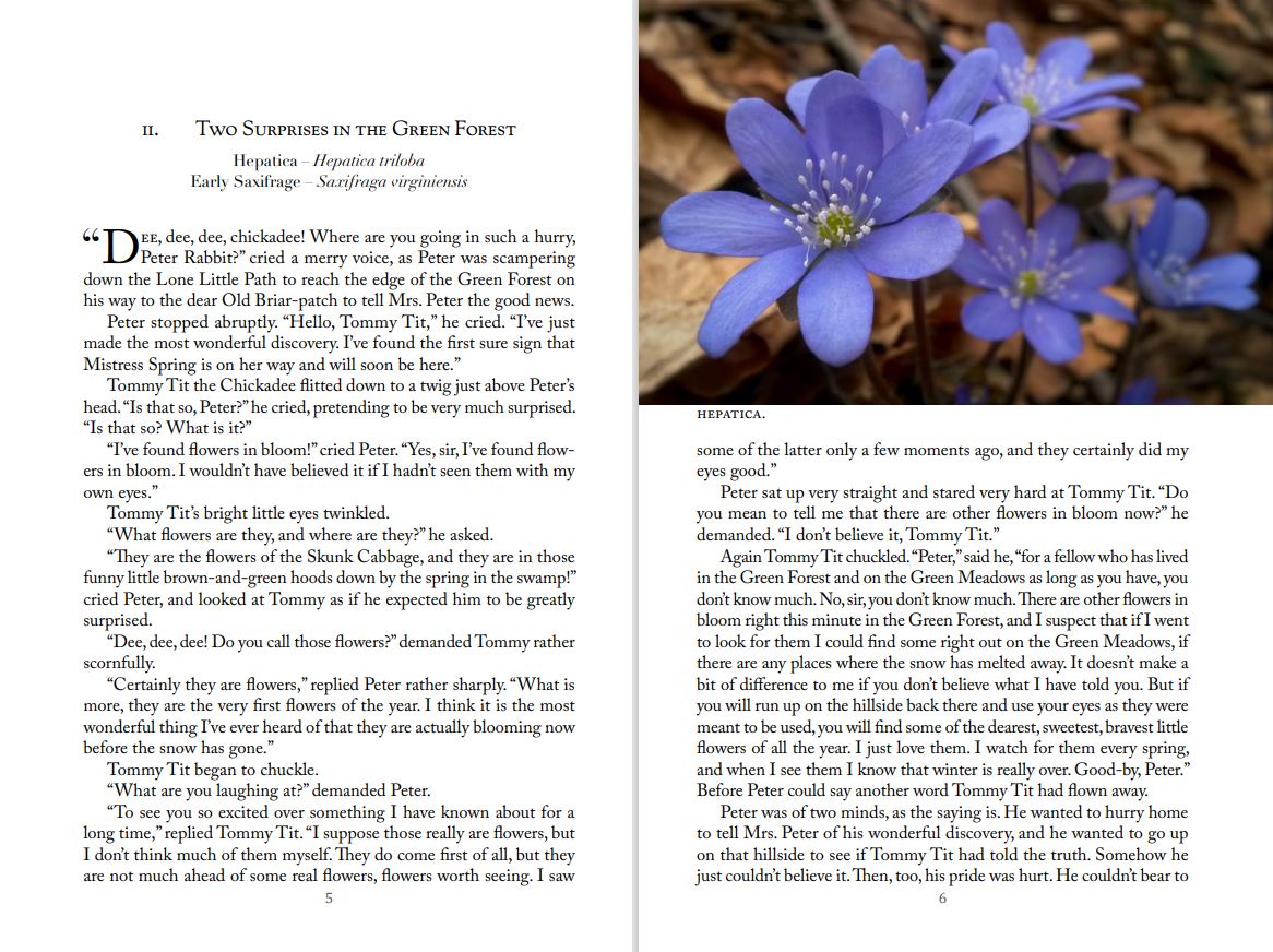 The Burgess Flower Book for Children - Biblioguides