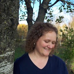 Reflections from Drywood Creek