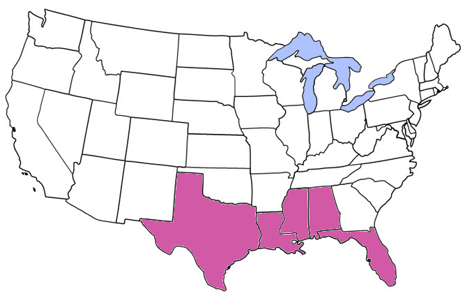 Gulf Coast Region