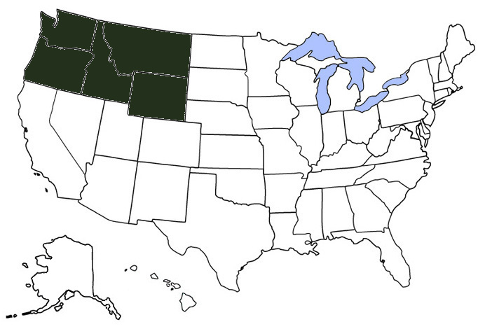 Northwest